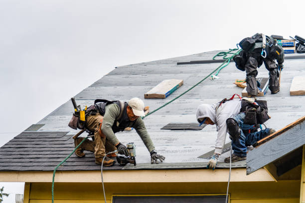 Professional Storm Damage Roof Repair technician working in Wallace, NC